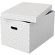 Boîte de rangement Esselte 628286 grande 55 l blanc