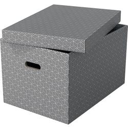 Boîte de rangement Esselte 628287 grande 55 l gris