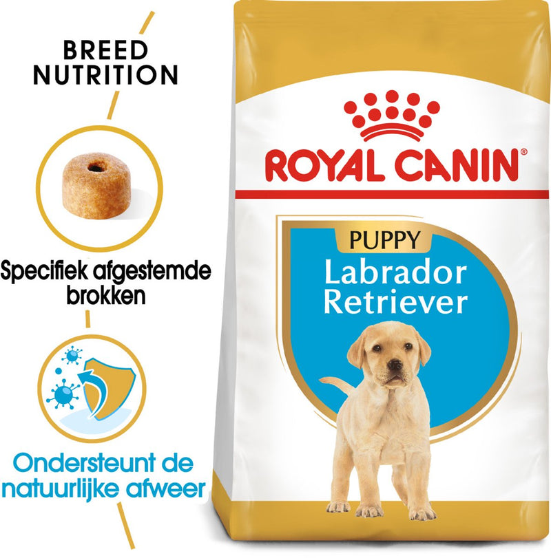 Canin royal