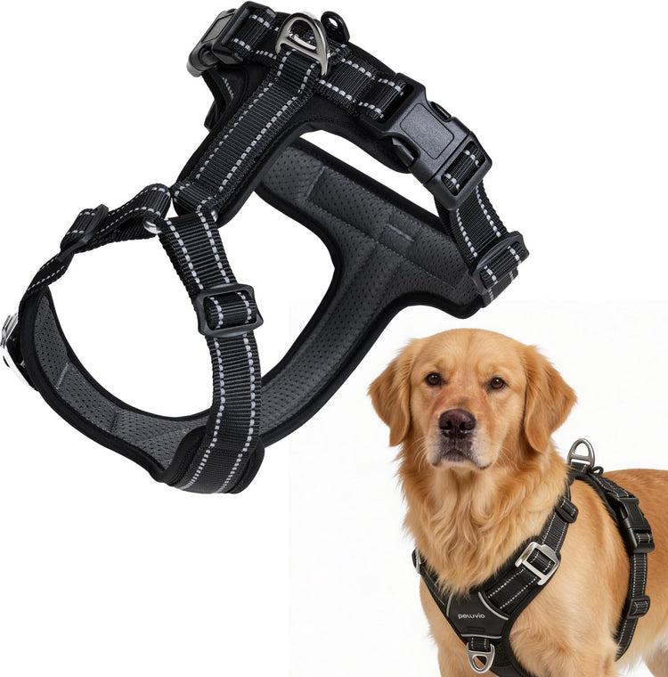 Peluvio mate - harnais pour chien avec réflexion - taille l - nylon résistant - harnais de protection ergonomique - boucles antirouille - séchage rapide résistant aux intempéries - contrôle du confort pour chiens actifs
