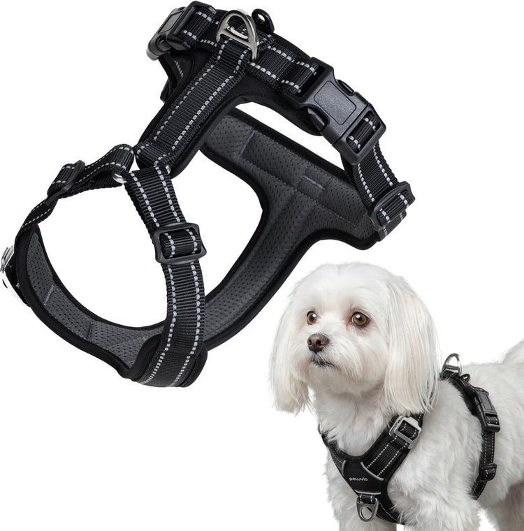 Peluvio mate - harnais pour chien avec réflexion - taille xs - nylon résistant - harnais de protection ergonomique - boucles antirouille - séchage rapide résistant aux intempéries - contrôle du confort pour chiens actifs