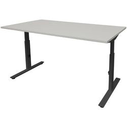 Bureau Schapenburg lin-pl128-lrz-m25, panneau de particules, métal multicolore