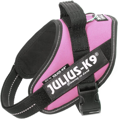Julius K9 faisceau d'alimentation IDC de renommée mondiale pour étiquettes de texte rose taille : mini