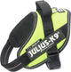 Julius k9 julius-k9 idc power harnais - harnais pour chien - s - mini - néon