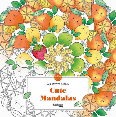 Hachette héros les grands carrés mandalas mignons - - livre de coloriage pour adultes