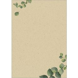 Papier design Sigel a4 - avec motif eucalyptus - recto verso - 100 grammes - 100 feuilles - si-dp615
