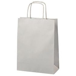 Sac en papier xs blanc 3,5 l 180x80x240 mm