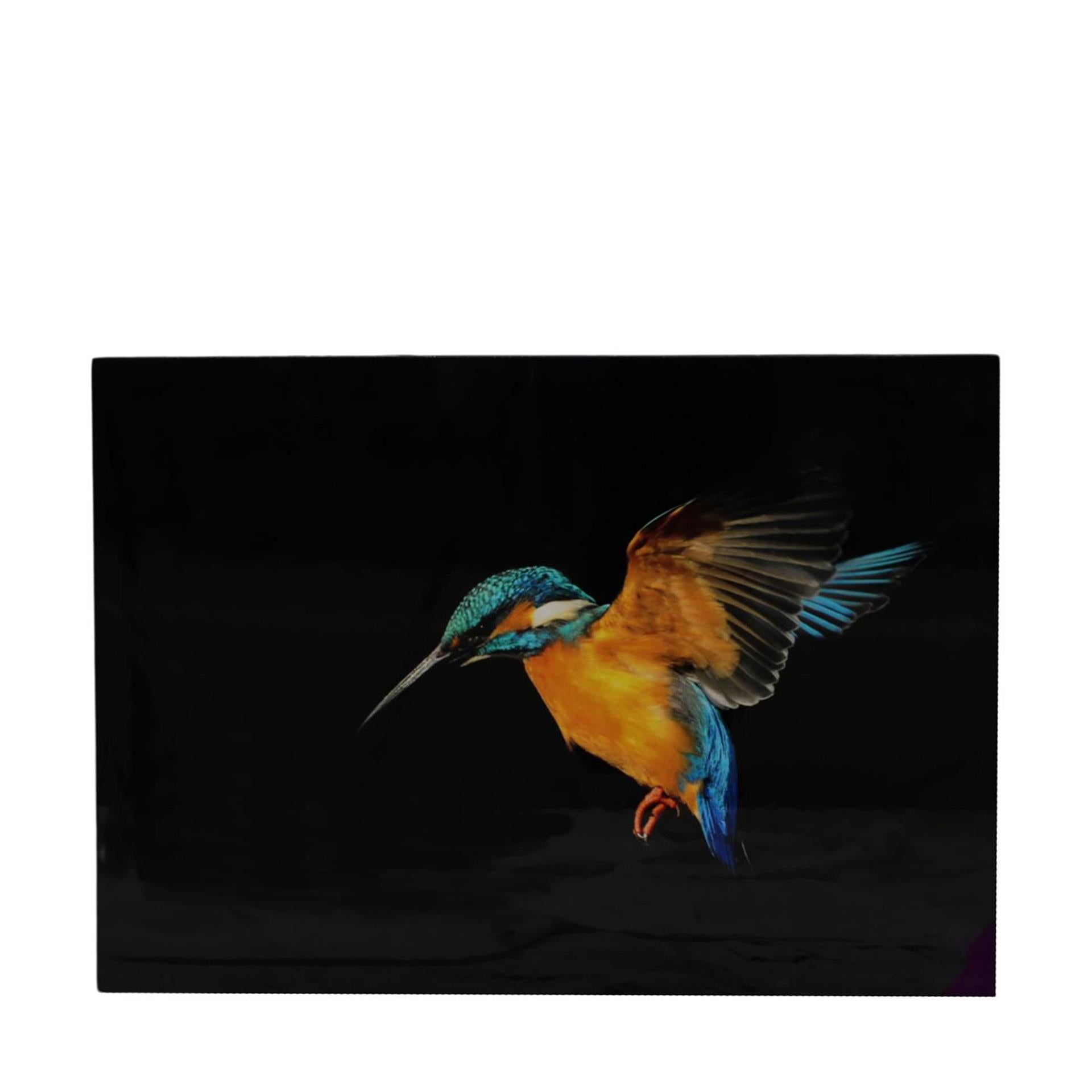 Dijk natural collections art mural toile martin-pêcheur 58x2,5x78cm