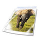 Sacs de présentation durables 265819 transparents