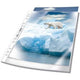 Sacs de présentation durables 268219 transparents