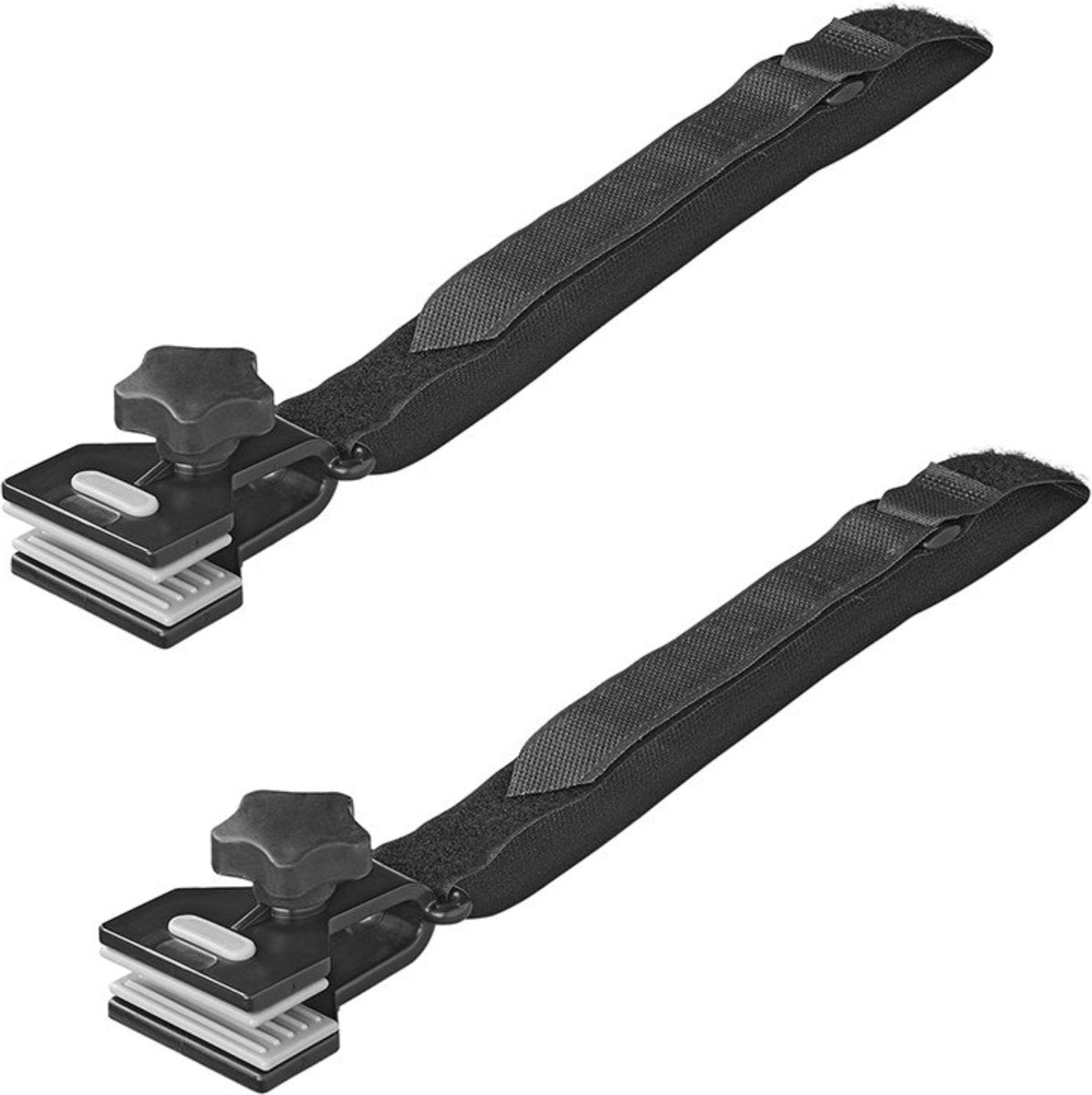 Proplus