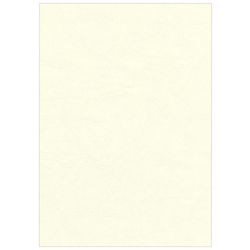 Couverture de reliure Fellowes 5370004 crème de pulpe