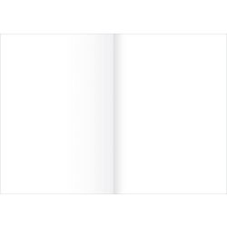 Papier légal staufen style 608469000 80 g m² paquet de 250