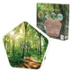 Olymp sound of nature box ol8001 - boîte de sons de la nature - 4 sons naturels - 12 couvertures - capteur de mouvement - bureau à domicile - blanc