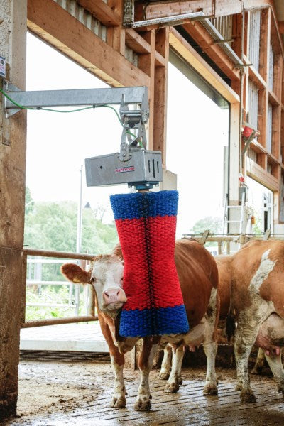 Brosse à vache Happycow maxiswing