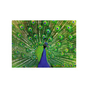 Ravensburger Puzzle Puzzle des animaux colorés Pauw, 500e. - afbeelding 2