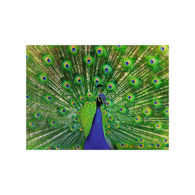 Ravensburger Puzzle Puzzle des animaux colorés Pauw, 500e.