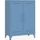 Armoire murale bisley fermid605