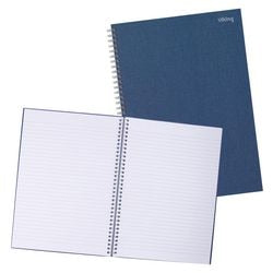 Bloc de lecture viking bleu