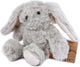 Ramenez-moi à la maison un câlin en peluche de lapin, 20 cm