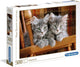 Clementoni - puzzle - 500 pièces - deux chatons - collection haute qualité - à partir de 10 ans