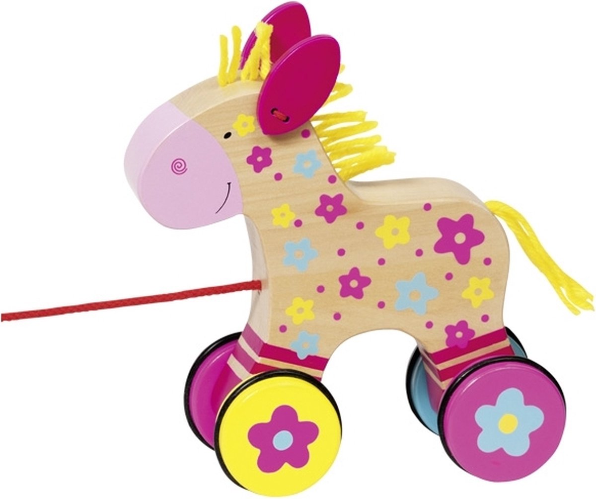 Cheval animal migrateur goki