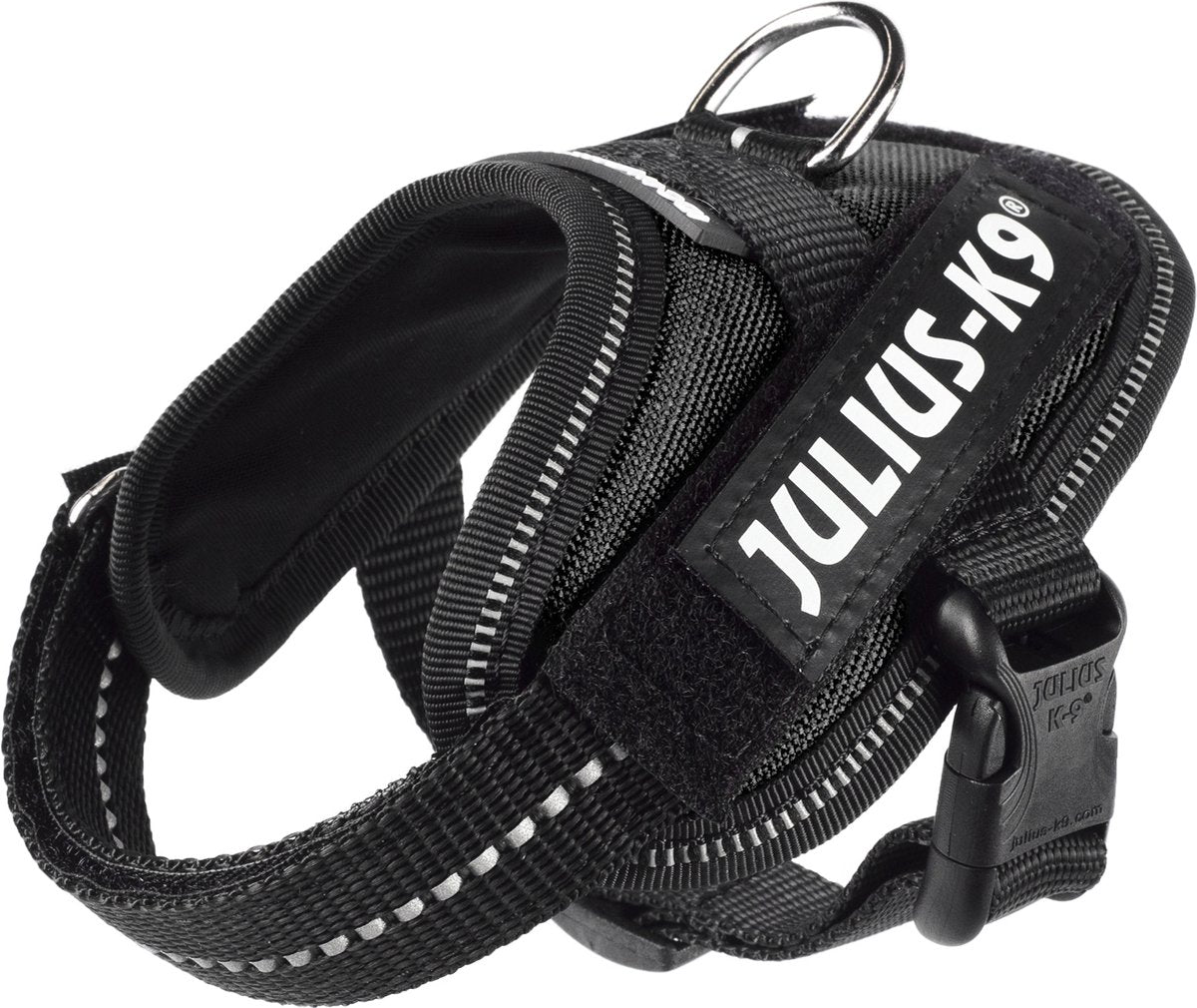 Jules k9