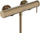 Hansgrohe tecturis s - robinet de douche - montage en saillie - commande à levier unique - bronze brossé