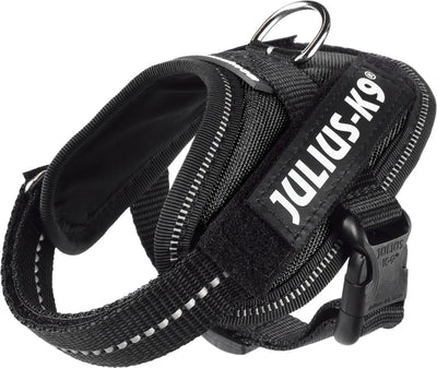 Jules k9