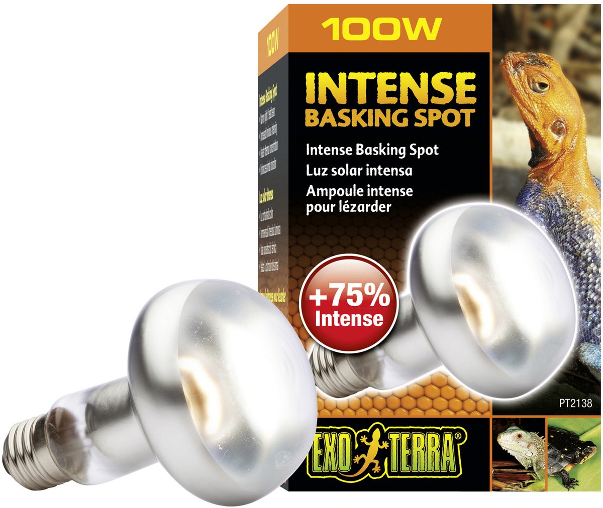 Exo terra lézarder - lampe spot - éclairage terrarium - 100w