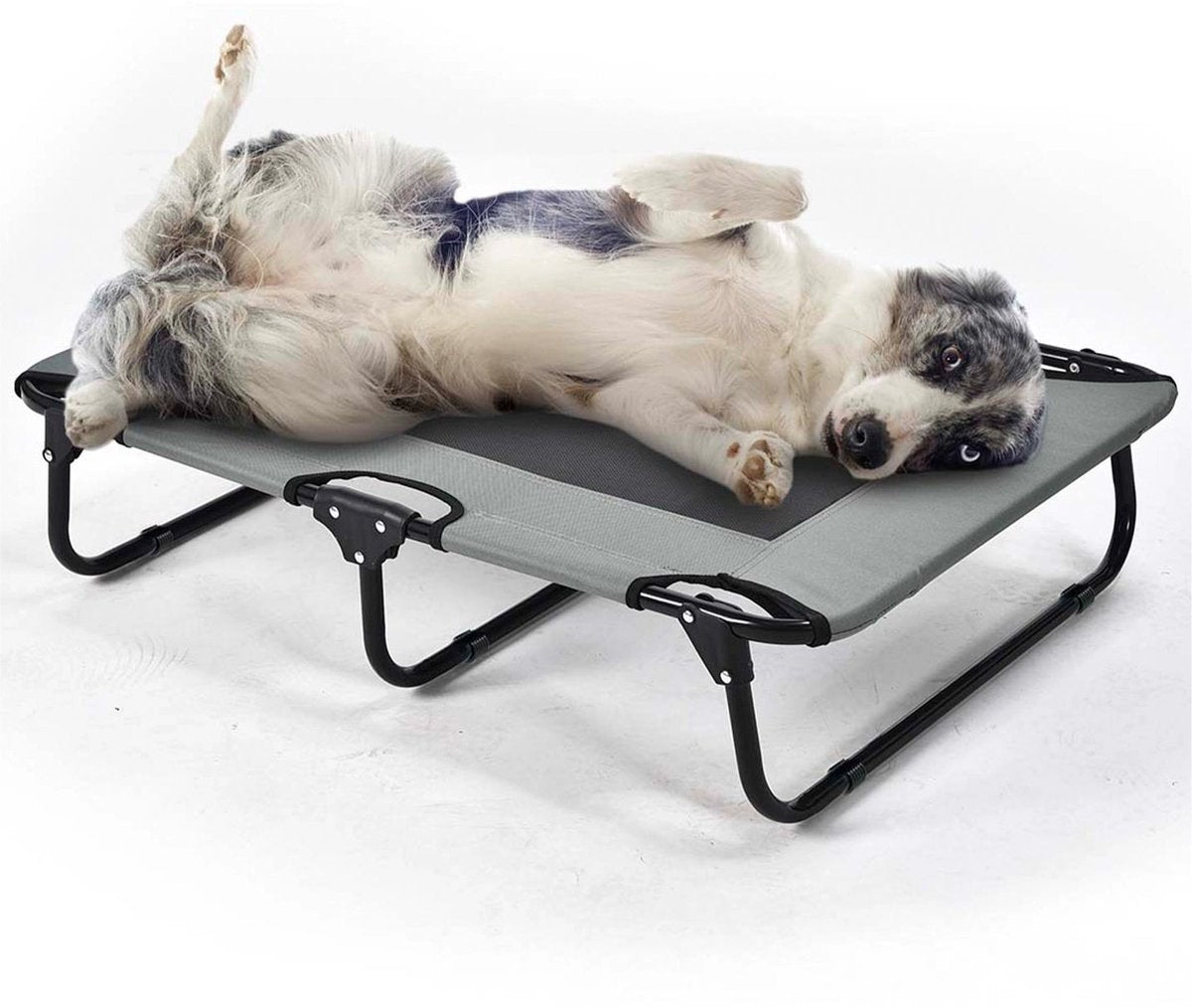 Duvo plus lit pliable pour chien relax - xl