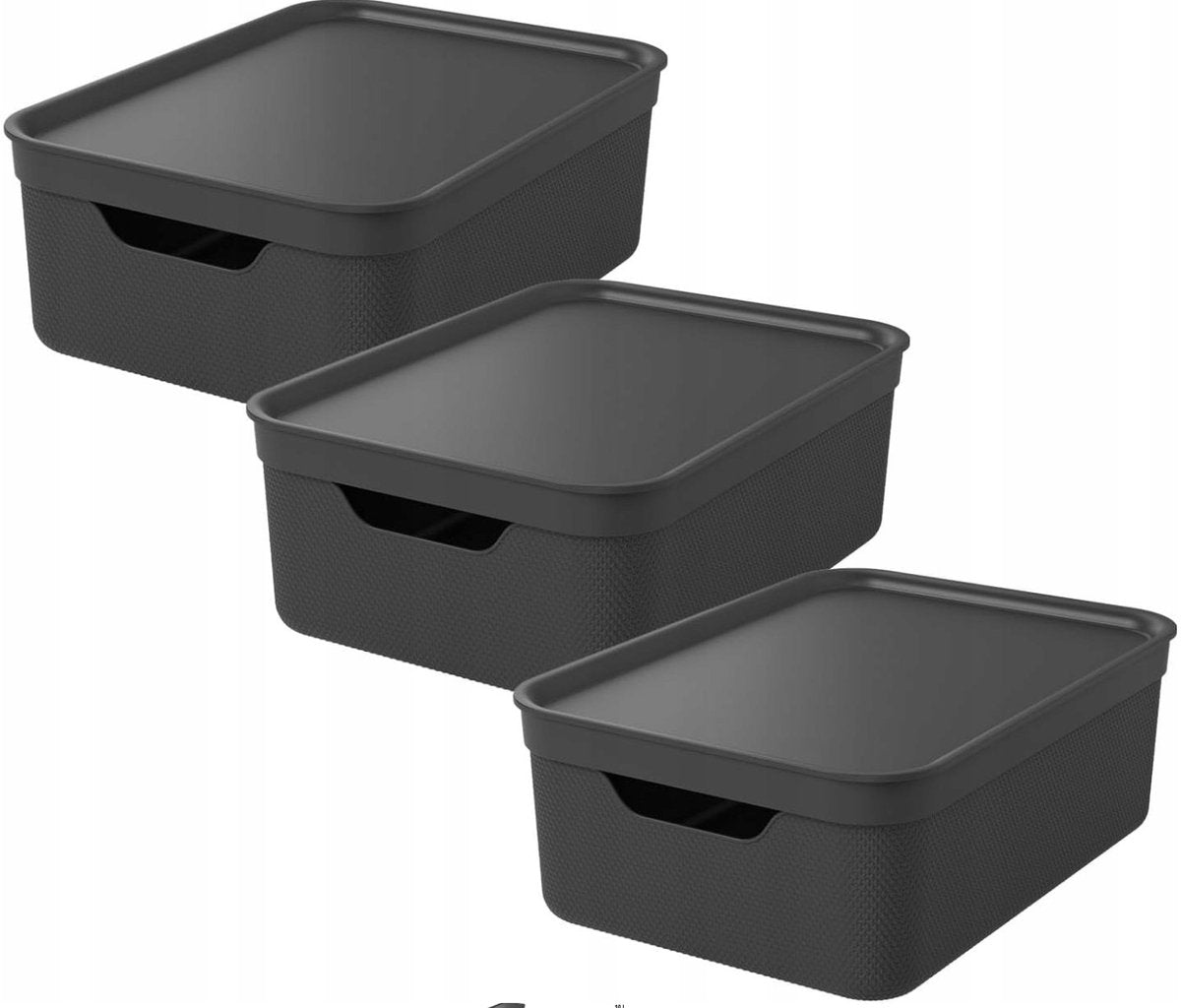 Rotho jive boîtes de rangement lot de 3 boîtes de rangement 10 l avec couvercle, plastique (pp recyclé), noir anthracite, 3 x 10 l, 36,5x26,5x13cm