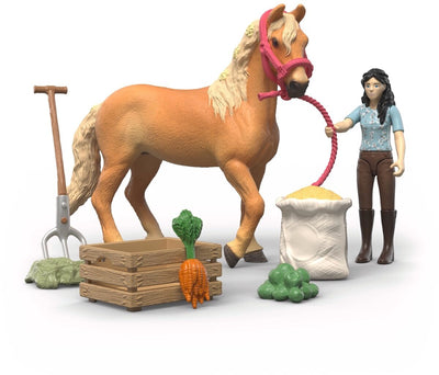 Schleich Horse Club Emliy's kit de soins 42797