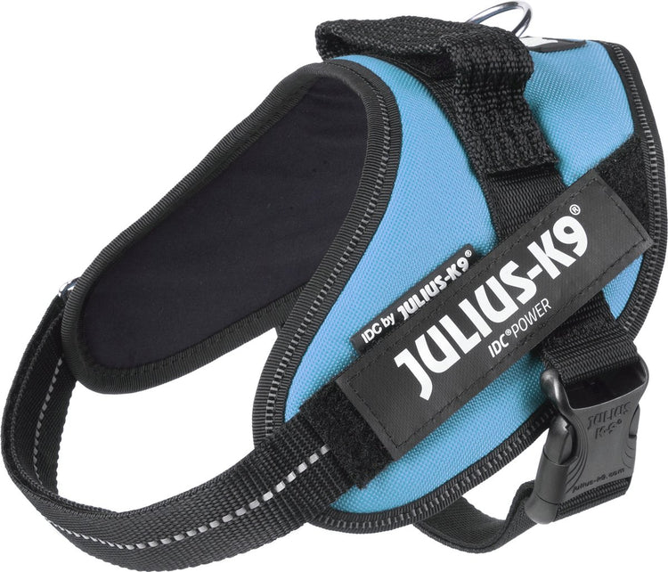 Julius k9 julius-k9 idc power harnais - harnais pour chien - s - mini - bleu azur