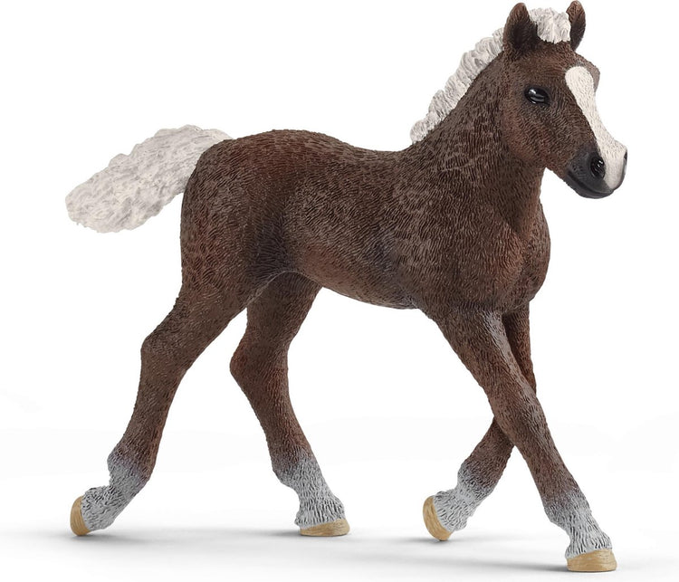 Schleich Horse Club Black Forest Veulen 13899