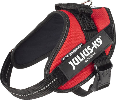 Jules k9
