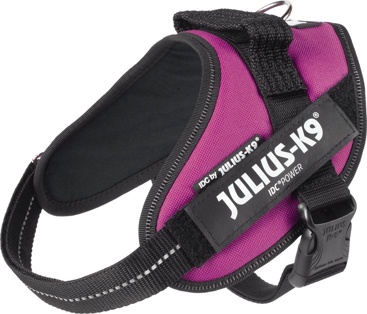 Jules k9