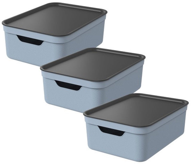 Rotho jive boîtes de rangement lot de 3 boîtes de rangement 10 l avec couvercle, plastique (pp recyclé), bleu anthracite, 3 x 10 l, 36,5x26,5x13cm