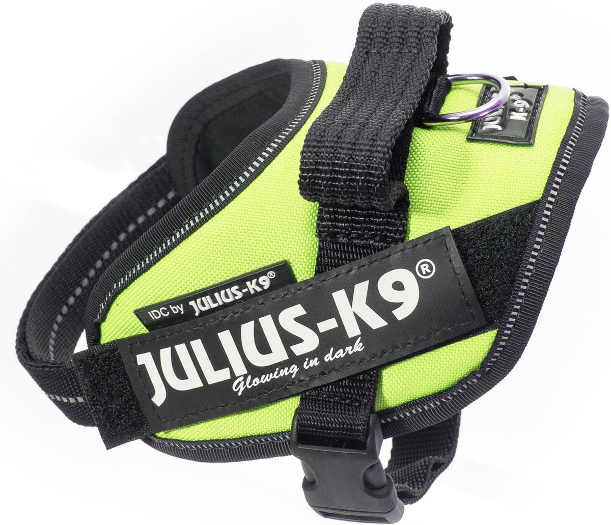 Jules k9