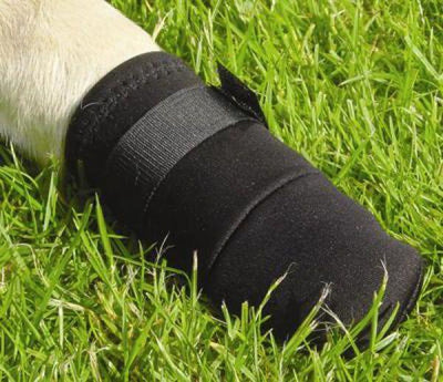 Beeztees chaussures de protection pour chien l - chaussettes pour chien - protège-pattes - noir - 2 pcs - 18,5x8,5x8,5 cm