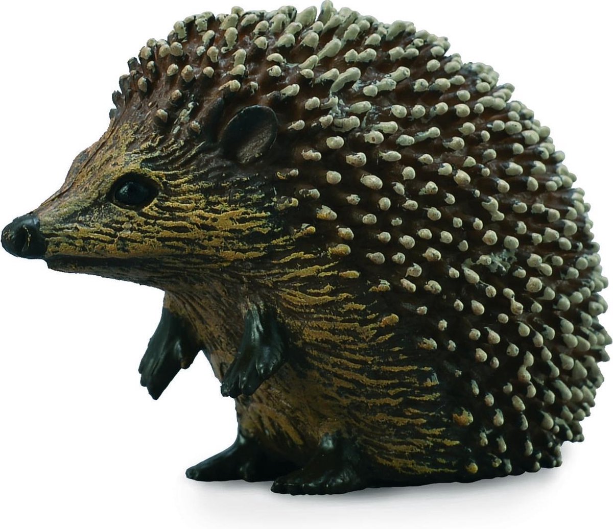 Collecta