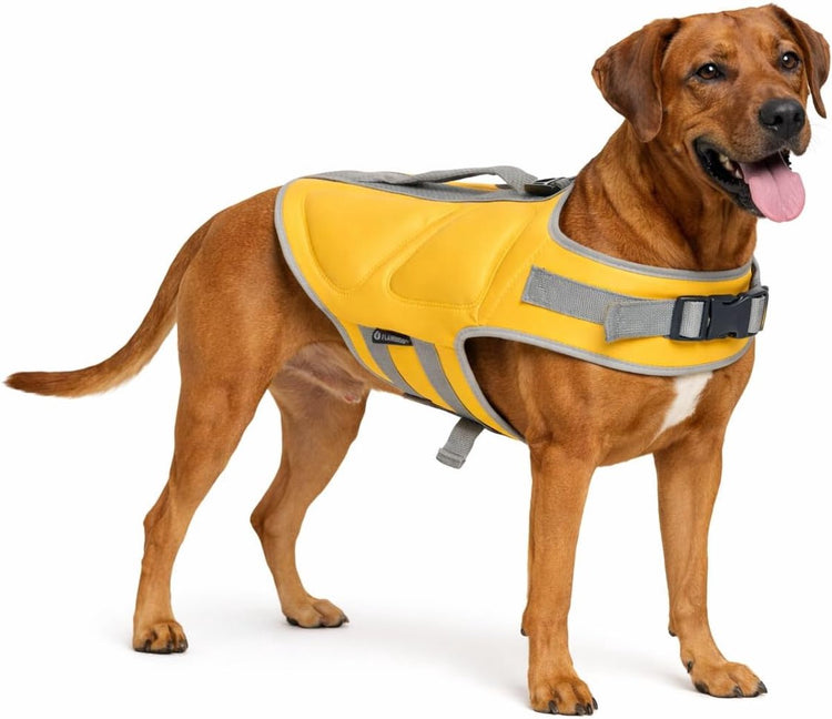 Gilet de sauvetage pour chien Flamingo – taille XL (46,5 cm) – jaune swimmy – flottabilité supplémentaire – bretelles réglables – poignée