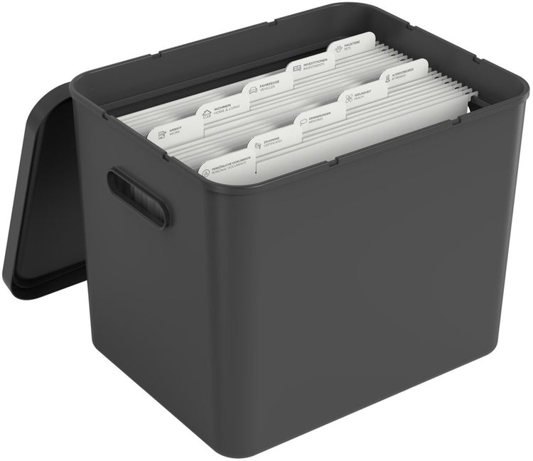 Rotho my paper archive box a4, organisateur de documents avec cintres, 40x29,2x29,8 cm, noir