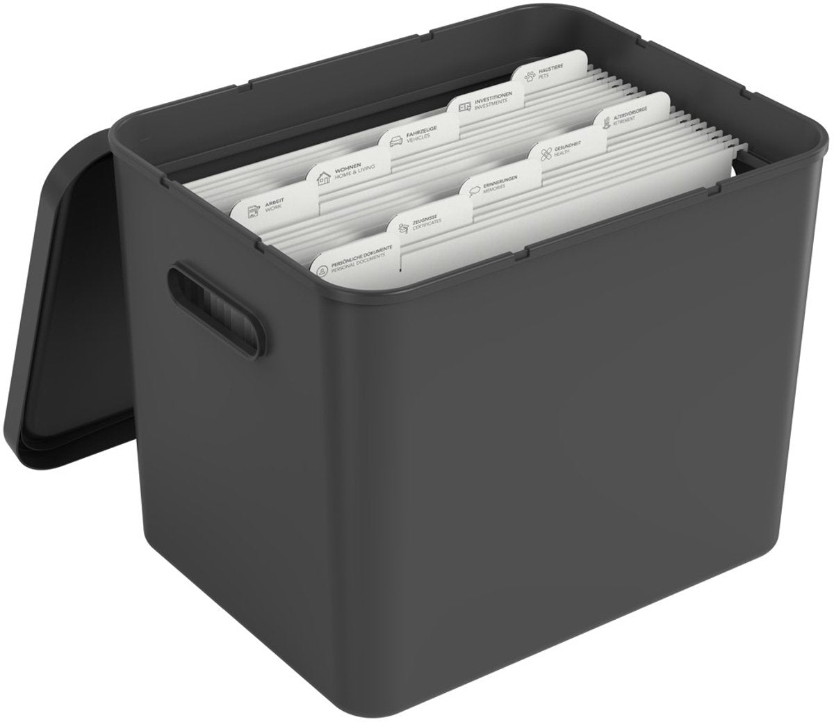 Rotho my paper archive box a4, organisateur de documents avec cintres, 40x29,2x29,8 cm, noir