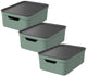 Rotho jive boîtes de rangement lot de 3 boîtes de rangement 10 l avec couvercle, plastique (pp recyclé), vert anthracite, 3 x 10 l, 36,5x26,5x13cm
