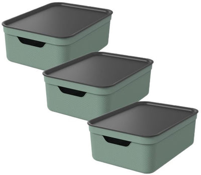 Rotho jive boîtes de rangement lot de 3 boîtes de rangement 10 l avec couvercle, plastique (pp recyclé), vert anthracite, 3 x 10 l, 36,5x26,5x13cm