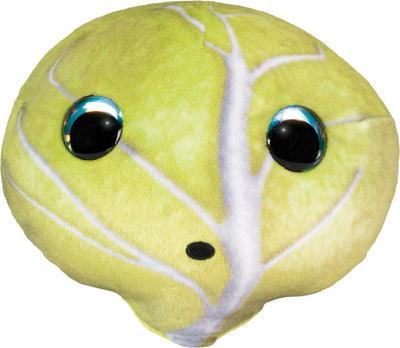 Lumo étoiles légumes et baies chou teikku - classique