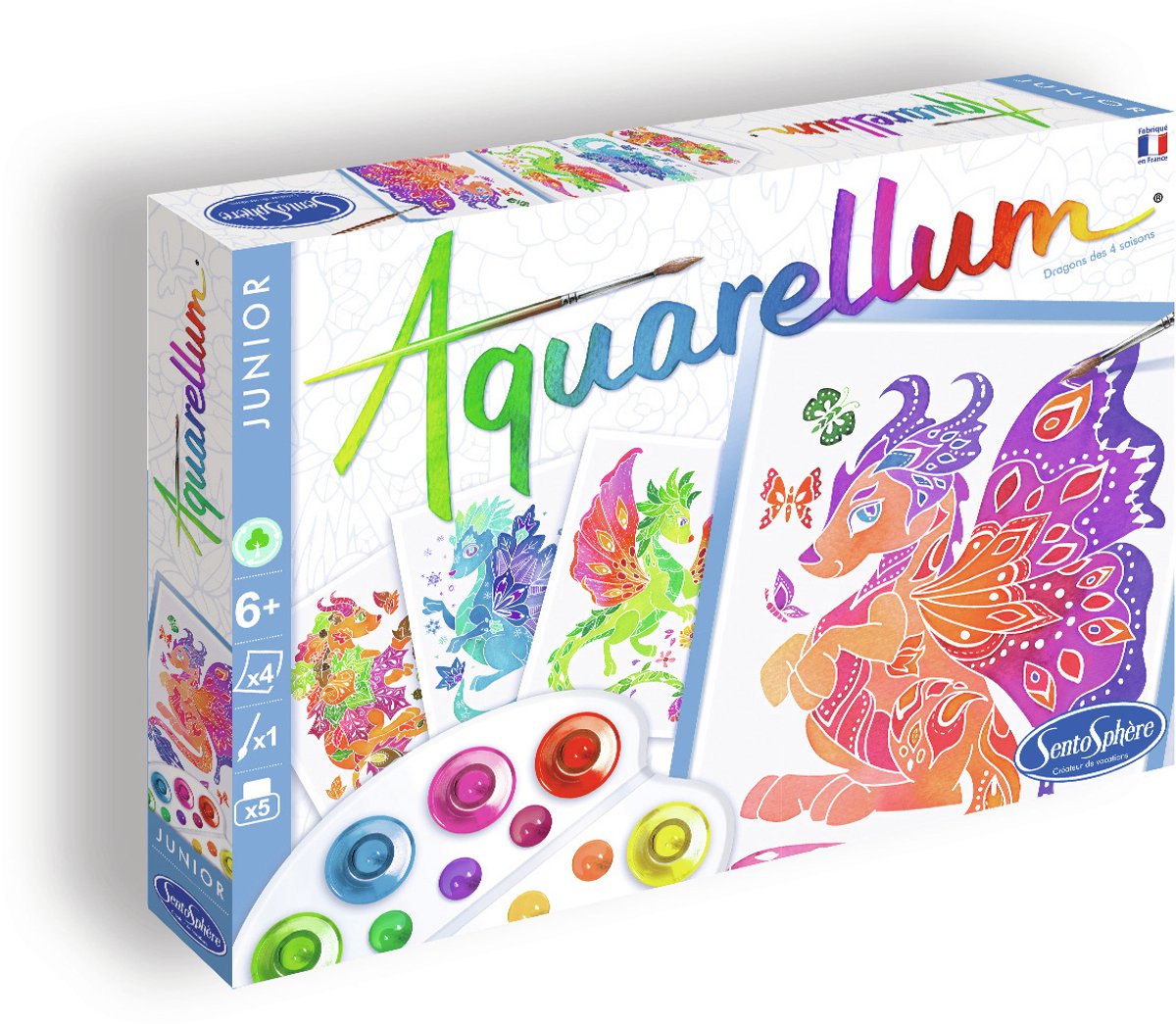 Sentosphère aquarelle junior 4 saisons dragons