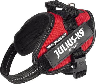 Julius k9 julius-k9 idc power harnais - harnais pour chien - xs - mini-mini - rouge