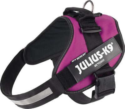Julius k9 julius-k9 idc®power harnais, 2xl - taille 3, rose foncé